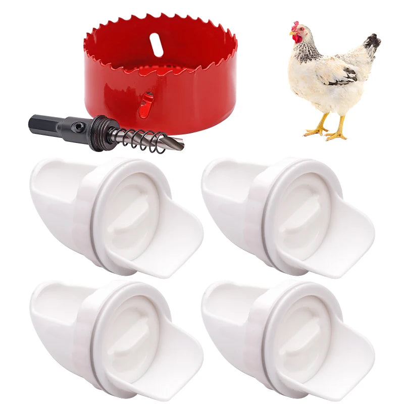 🐓【Perforator + 5 alimentatoare】Hrănitor automat pentru pui, rață și gâscă