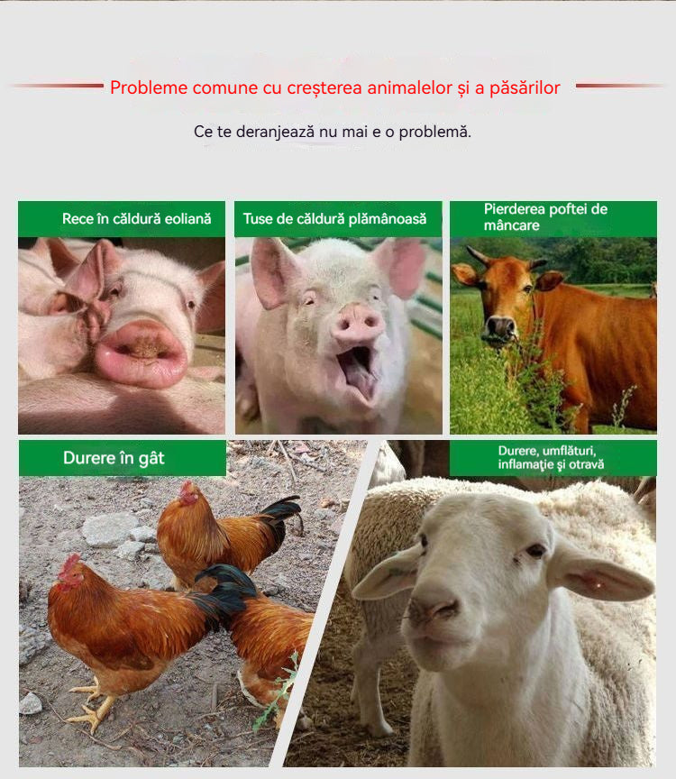 O singură pastilă, poate vindeca boala. ✅Răceli la găini, rațe și gâște ✅Sforăit și tuse ✅Antivirus ✅Febră la pui ✅Folosit la porci, bovine și oi